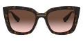 Havana / Brown Gradient