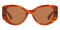 Havana Light / Brown