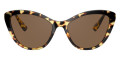 Light Havana / Dark Brown