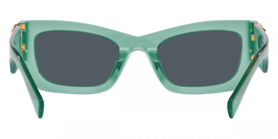 Miu Miu - Glimpse MU 09WS