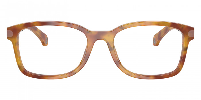 Moncler™ ME2006 3011 54 - Havana Honey