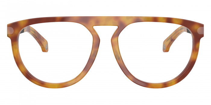 Moncler™ ME2007 3011 55 - Havana Honey