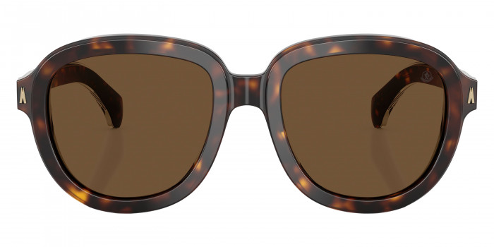 Moncler™ ME6007U CIRSEE 300273 54 - Shiny Dark Havana