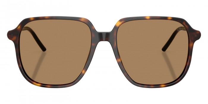 Moncler™ ME6010 CYLIN 3002M4 54 - Shiny Havana/Matte Anthracite