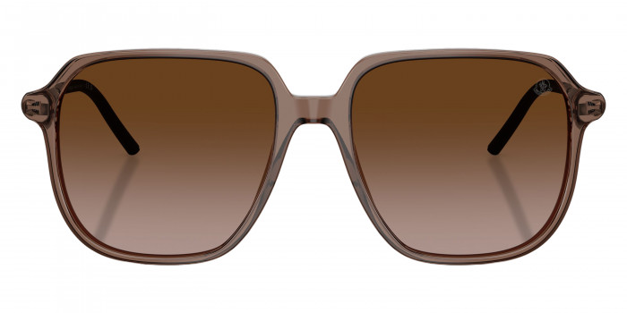 Moncler™ ME6010 CYLIN 301813 54 - Shiny Transparent Brown/Matte Anthracite