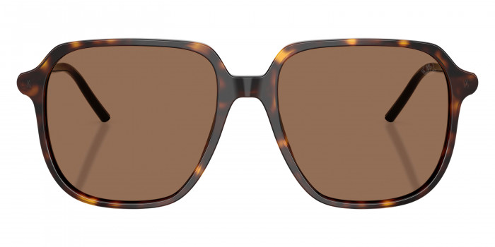 Moncler™ ME6010F CYLIN 300273 54 - Shiny Havana/Matte Anthracite