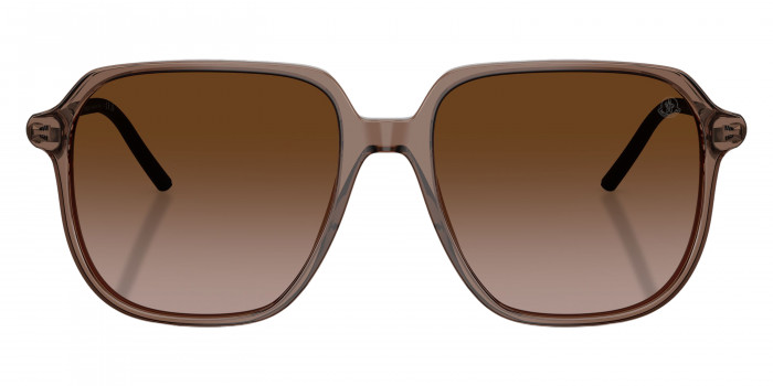 Moncler™ ME6010F CYLIN 301813 54 - Shiny Transparent Brown/Matte Anthracite