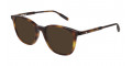 Havana / Brown