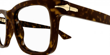 Color: Havana (002) - Montblanc MB0266O00252