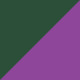Transparent Green/Hocco Violet