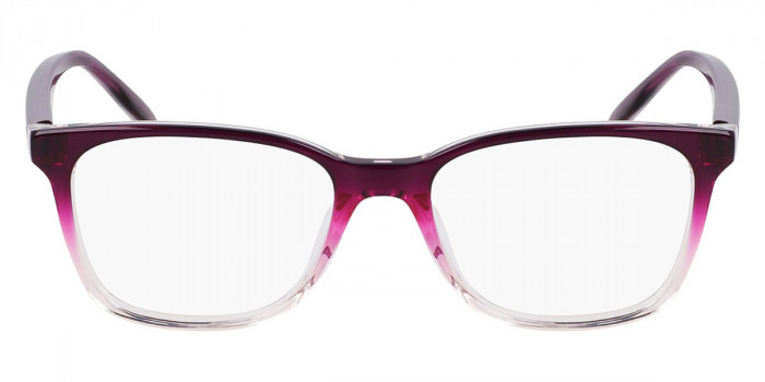 Nike™ 5054 503 49 - Plum Gradient