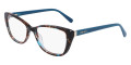 Teal Tortoise