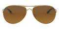 Polished Gold / Brown Gradient Polarized