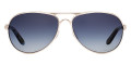 Polished Chrome / Gray Gradient Polarized