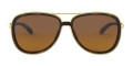 Brown Tortoise / Brown Gradient Polarized