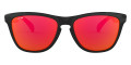 Polished Black / Prizm Ruby