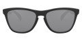 Matte Black / Prizm Black Polarized
