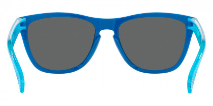 Oakley™ - Frogskins OO9013