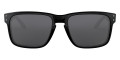 Polished Black / Gray Polarized