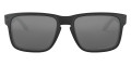 Matte Black / Black Iridium Polarized