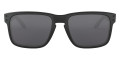 Matte Black / Black Iridium 910263