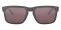 Steel / Prizm Daily Polarized