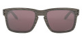 Woodgrain / Prizm Daily Polarized