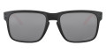 Ruby Fade / Prizm Black Polarized