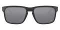 Matte Black / Black Iridium 9102D4