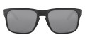 Matte Black / Prizm Black Polarized 9102D6