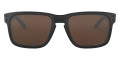 Matte Black / Prizm Tungsten Polarized