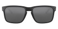 Polished Black / Prizm Black