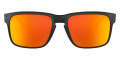 Polished Black / Prizm Ruby Polarized