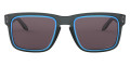 Matte Crystal Black / Prizm Gray Sapphire Alt Iridium