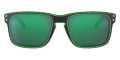 Raceworn Green / Prizm Jade Polarized