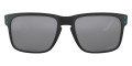 Matte Black / Prizm Black Polarized 9102K1