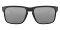 Matte Black / Prizm Black 9102L4