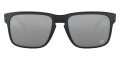 Matte Black / Prizm Black 9102L5