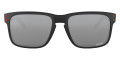 Matte Black / Prizm Black 9102L7