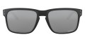 Matte Black / Prizm Black 9102L8