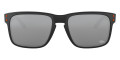 Matte Black / Prizm Black 9102L9