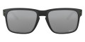 Matte Black / Prizm Black 9102M1