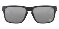 Matte Black / Prizm Black 9102N2