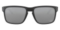 Matte Black / Prizm Black 9102N3