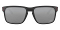 Matte Black / Prizm Black 9102N7