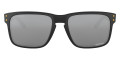 Matte Black / Prizm Black 9102O1
