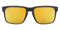 Matte Black Tortoise / Prizm 24K Polarized