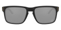 Bal Matte Black / Prizm Black