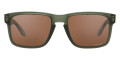 Olive Ink / Prizm Tungsten Polarized