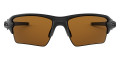 Black / Bronze Polarized